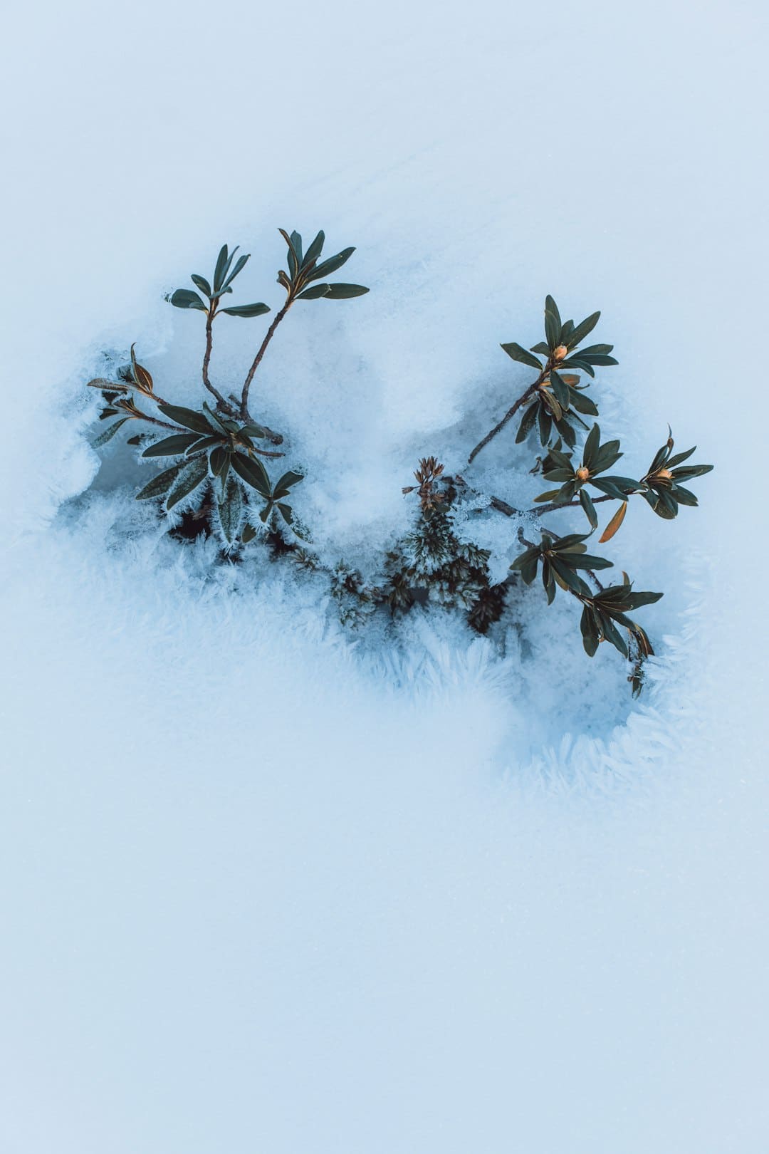 http://n.sinaimg.cn/news/transform/w600h400/20180308/tUTk-fxpwyhv7477434.jpg?zdy